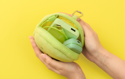 SMISKI Cushion Pouch P9