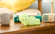 SMISKI Touch Light Vol. 2 W9