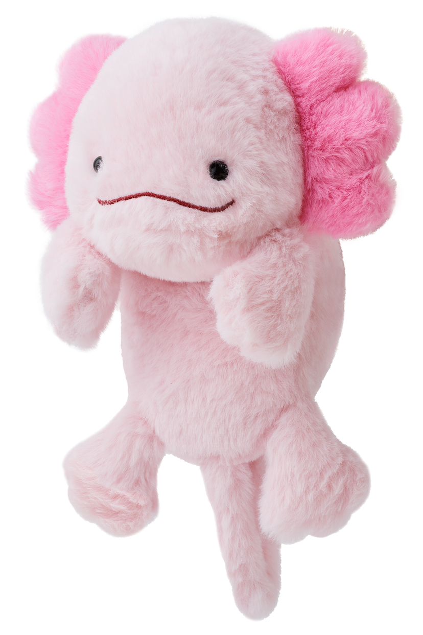Posture Pal W6