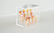 Sonny Angel Acrylic Display Case B5