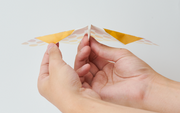 Papillon Origami Airplanes D3