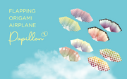 Papillon Origami Airplanes D3